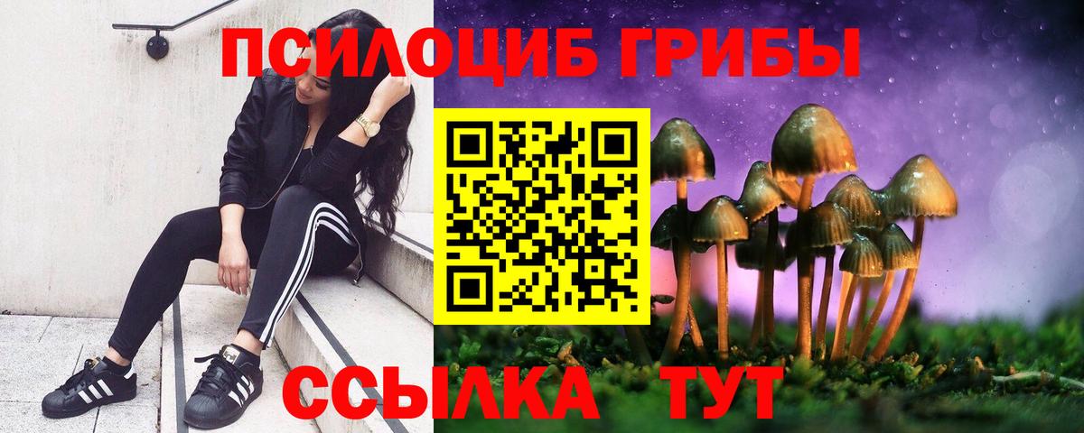 Галлюциногенные грибы Psilocybine cubensis Зима
