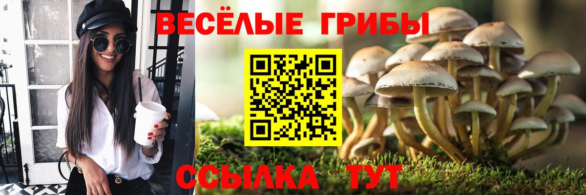 Псилоцибиновые грибы Psilocybe  дарнет шоп  Зима  Вход с VPN 